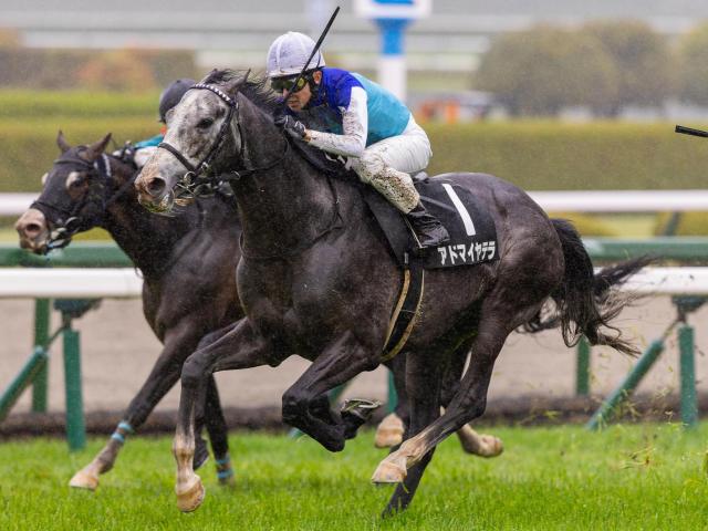 【目黒記念】菊花賞3着のアドマイヤテラ 武豊騎手で重賞初制覇狙う