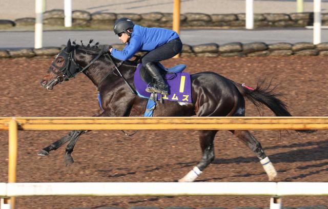 【日本ダービー】エムズ　サラッと4F52秒2で及第点　池江師「動き悪くなかった」