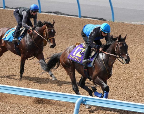 【日本ダービー】ファイアンクランツ　手応え十分に併入　堀師「馬具を工夫して挑む」