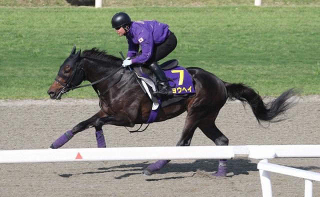 【日本ダービー】ショウヘイ　ポリトラック軽快1F11秒4　友道師「期待の方が大きい」