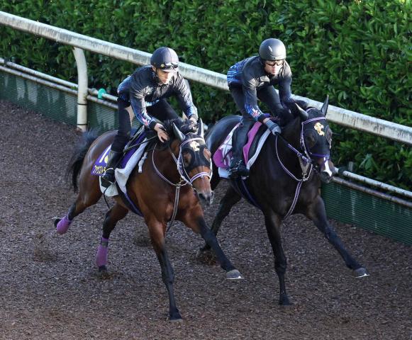 【日本ダービー】ファウストラーゼン　最後きっちり併入「状態は平行線」