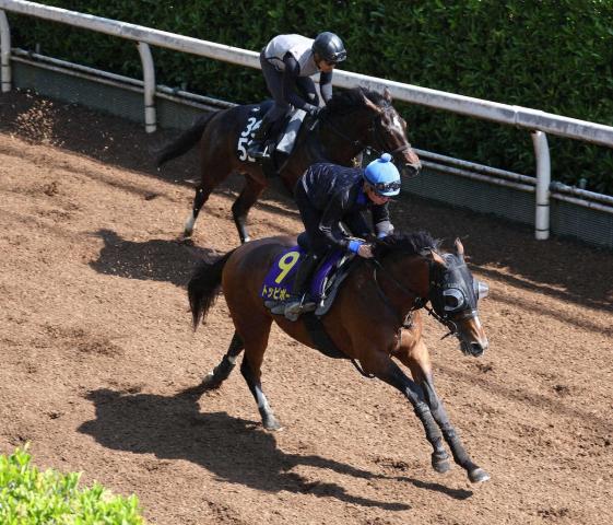 【日本ダービー】トッピボーン　反応の良さ見せた!　1馬身先着に岩田望「いい感じで終えられた」