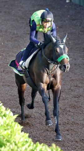 【日本ダービー】シャープな伸び脚　皐月賞5着から反撃だ　史上初親子3代制覇へ武豊「もう1回勝ちたい」