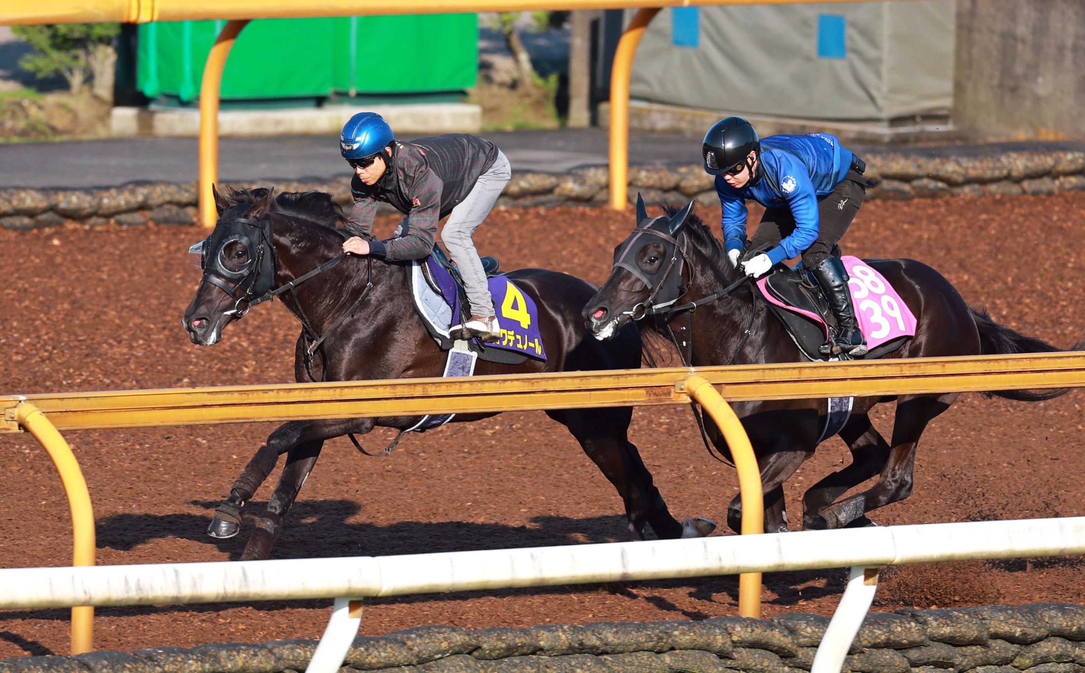 【日本ダービー】クロワデュノール　豪快　逆転頂点獲りへ万全　北村友「僕自身というよりもクロワデュノールのために」
