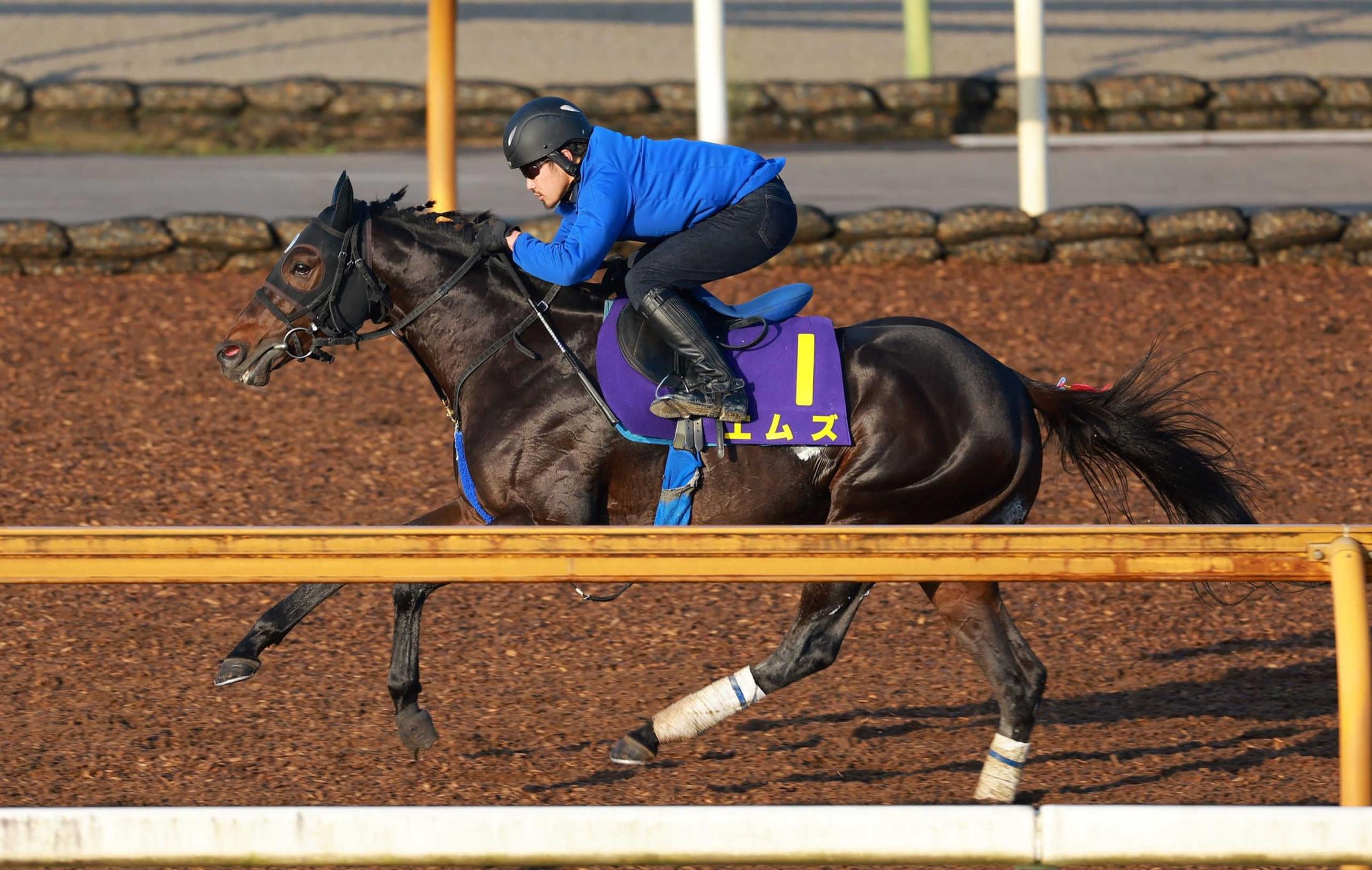 【日本ダービー】エムズ　重点で順調　池江師「動きは悪くない」好天を願う