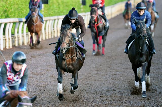 【日本ダービー】「皐月賞を勝った馬として、恥ずかしくない状態で挑める」ミュージアムマイルが勇気ある“抑えた”仕上げ