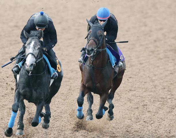 【日本ダービー】カラマティアノスは展開適正が高く距離延長もプラス　初コンビの池添謙一騎手「しっかり動けていた」