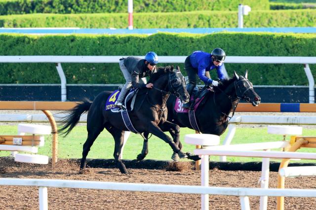 【日本ダービー】「一段も二段も上がった」クロワデュノールが皐月賞2着からの逆襲へ