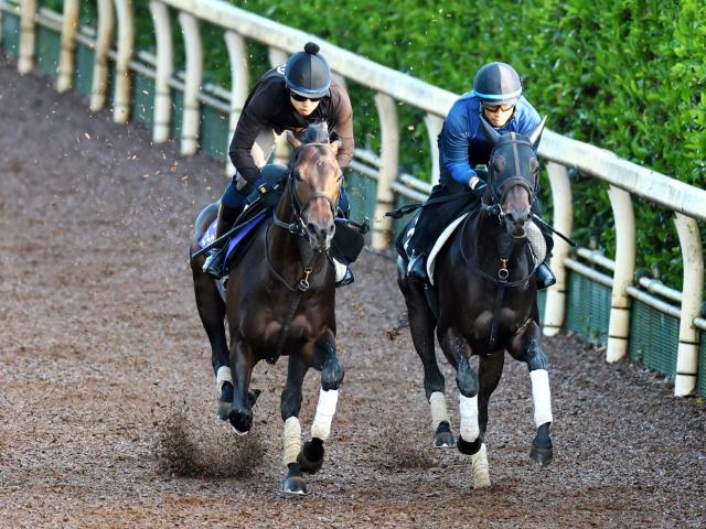 【日本ダービー】ミュージアムマイル万全２冠デモ　栗東坂路を馬なり手応え抜群　高柳大師不安なし、府中１２Ｆも「大丈夫」