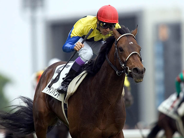 日本ダービー着差ランキングTOP5 ディープインパクトらを超える“6馬身差”の1位とは？