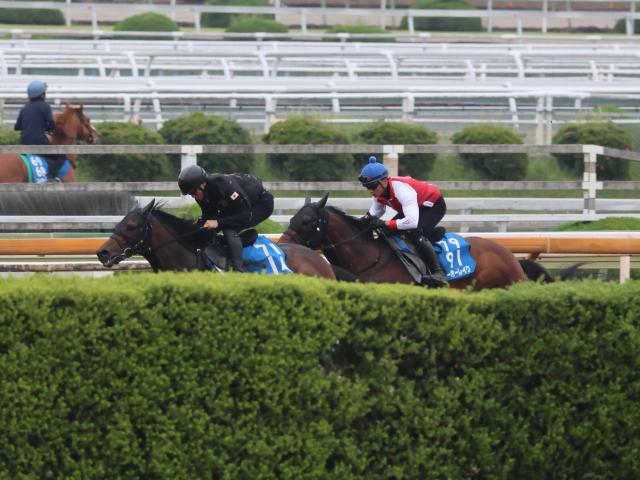 ヨーホーレイク、宝塚記念2週前追い切り速報/栗東トレセンニュース