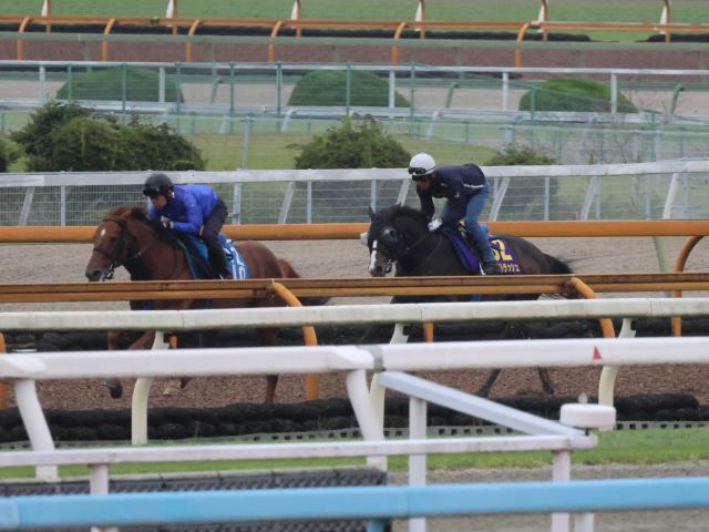 ソウルラッシュなど、安田記念1週前追い切り速報/栗東トレセンニュース