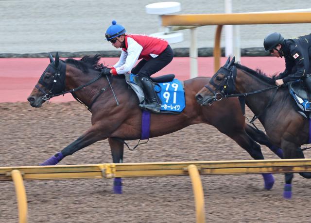 【宝塚記念2週前】ヨーホーレイクは意欲的に併せ馬　友道調教師「これで上向いてくれれば」