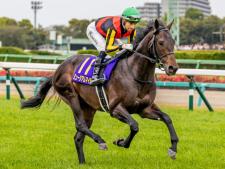 皐月賞馬ミュージアムマイルは4枠7番(ユーザー提供：旅っ程さん)