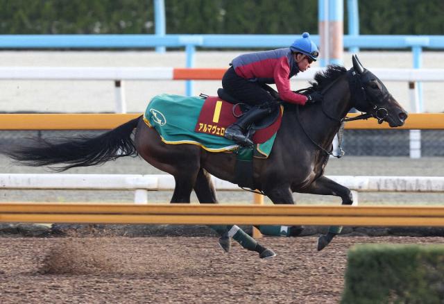 オークス2着アルマヴェローチェ　右前第1指骨剥離骨折判明　上村師「程度は軽い」「秋華賞を目指す」