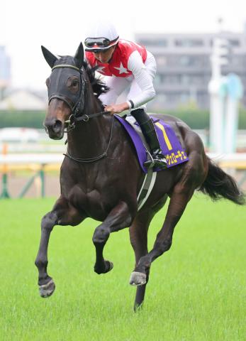 桜花賞&オークス2着アルマヴェローチェが右前第1指骨はく離骨折　上村調教師「秋華賞を目指していきたい」