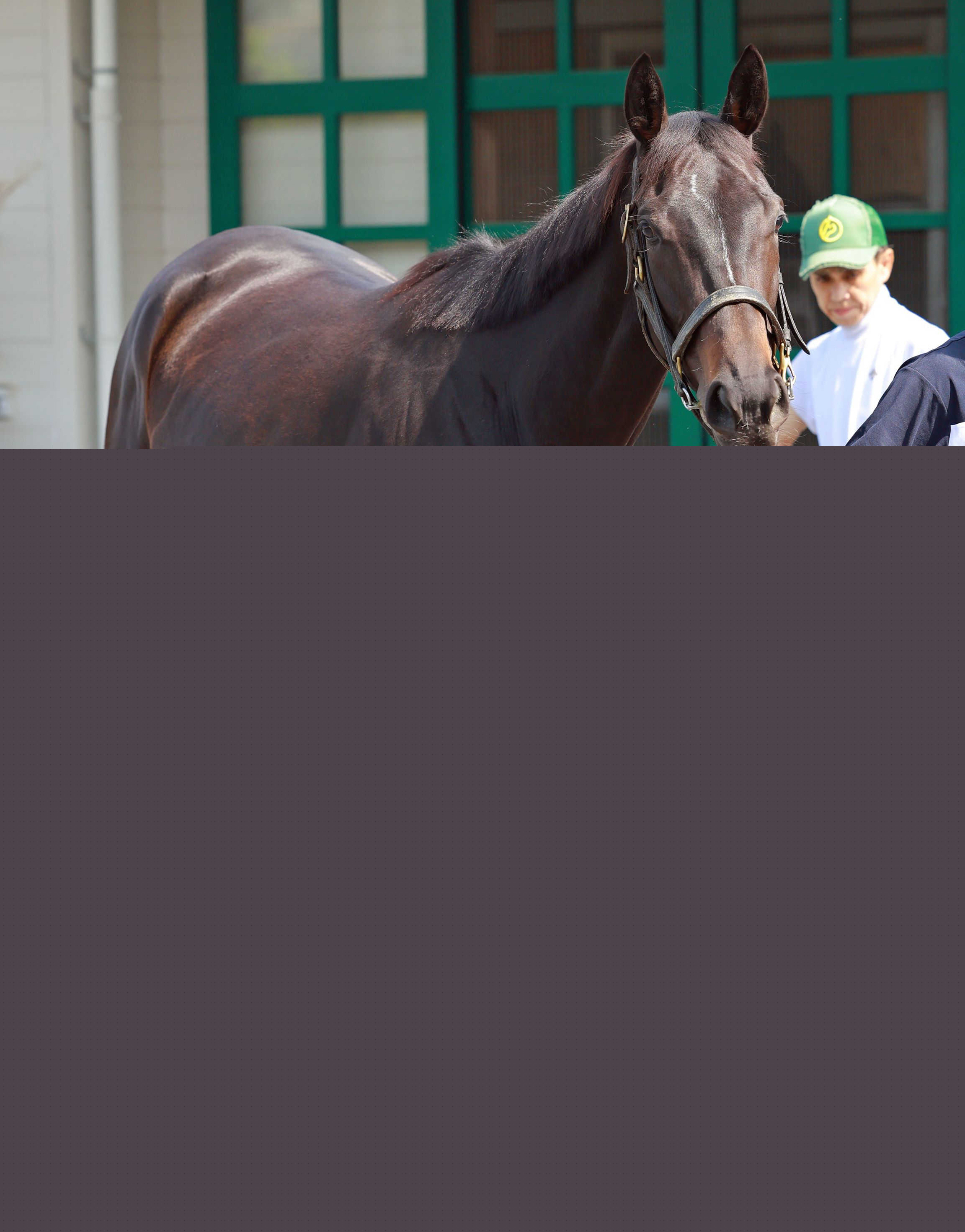 ２歳女王アルマヴェローチェが右前脚の第１指骨?離骨折　上村師「レース中だと思う。秋華賞を目指したい」