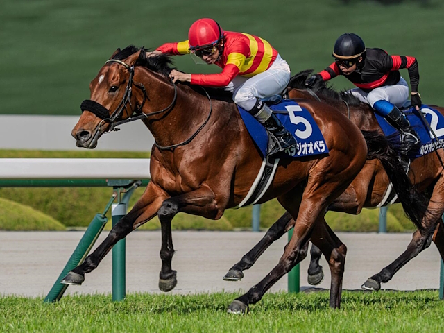【宝塚記念】ファン投票最終発表 1位はベラジオオペラで22万8950票！