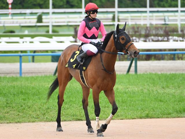 【葵S出走馬・騎手確定】ムイ＆今村聖奈騎手、ウイントワイライト＆A.シュタルケ騎手など16頭