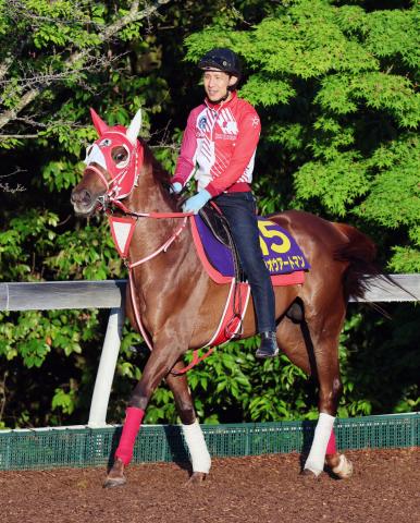 【日本ダービー】ホウオウアートマンが抽選突破　陣営「雨が残って時計がかかれば」