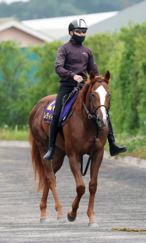 【日本ダービー】レディネスは昨年勝ち馬と同じ3枠5番から一発を狙う　陣営「5番で良かったです」