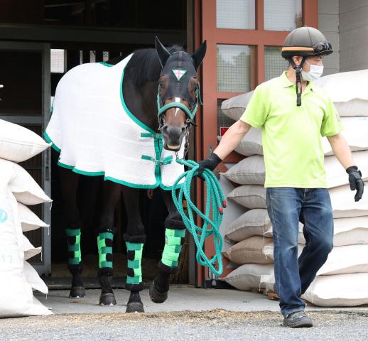 【日本ダービー】武豊騎手と初コンビのサトノシャイニング大外18番　陣営「真ん中よりも思い切って外でいいかも」