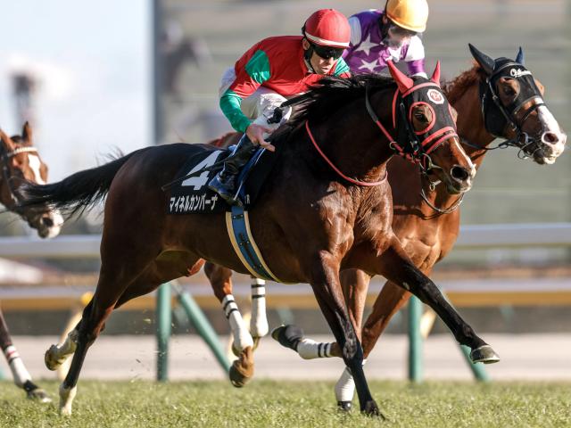 【週末情報】「もともとここが目標」ゴルシ産駒マイネルカンパーナが重賞へ初挑戦/馬三郎のつぶやき