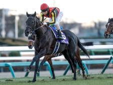 クロワデュノールは502kg(撮影：下野雄規)