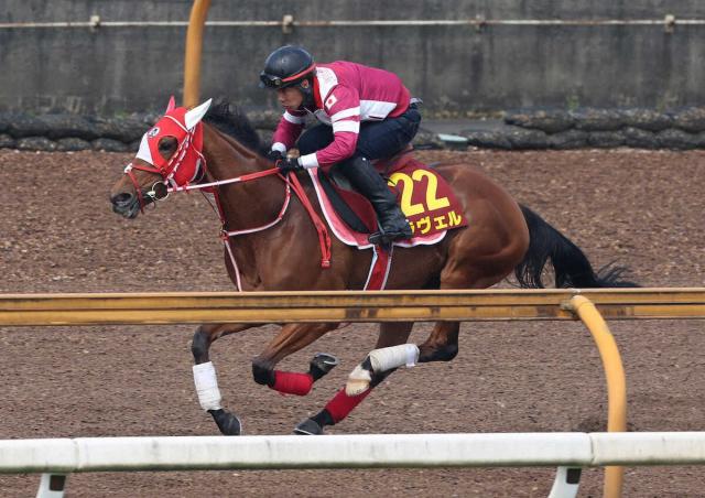 矢作厩舎ラヴェルが9・13愛チャンピオンSに予備登録　次走は6・22府中牝馬S