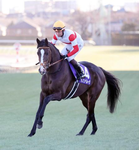 【注目馬動向】堀厩舎の2頭　ダノンベルーガとチャックネイトは宝塚記念へ