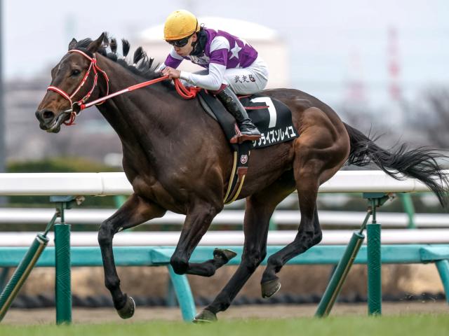 【目黒記念予想】前走のレース格が好走の鍵!? 連勝中の人気馬を軽視したい最大の理由とは