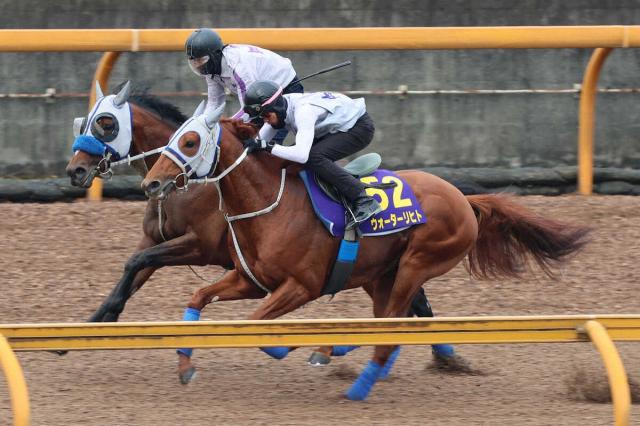 【安田記念1週前追い】ウォーターリヒト　直線ビッシリ　石橋師「予定通りで順調」