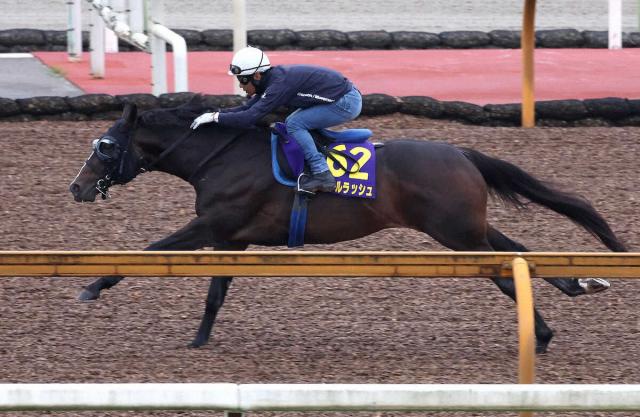 【安田記念1週前追い】ソウルラッシュ　鋭い伸び披露　浜中「乗りやすさに磨きがかかった」