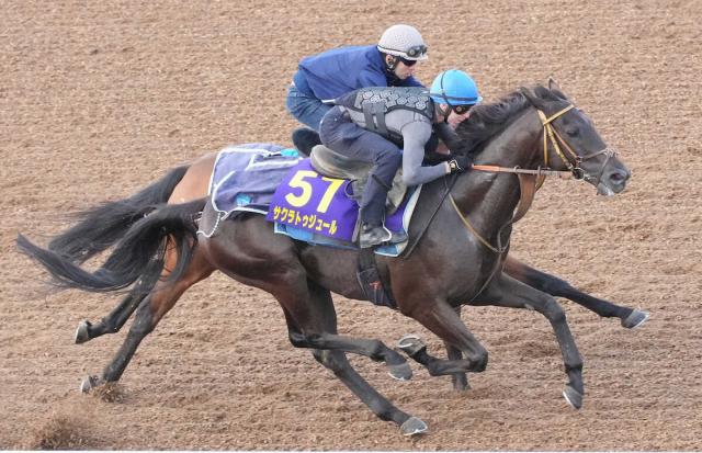 【安田記念1週前追い】サクラトゥジュール　楽々と好時計　レーン「フィジカル面での成長を感じられた」