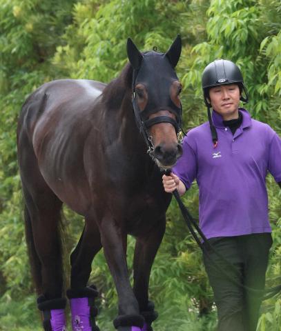 【日本ダービー】(2)ショウヘイ　ロスなく回れる　陣営「レースセンスある」