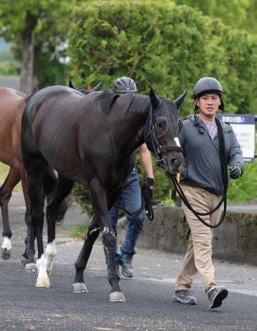 【日本ダービー】(1)リラエンブレム　縁起のいい馬番　浜中「1コーナーの入りを大事に」