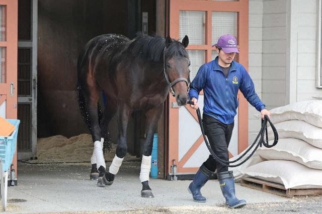 【日本ダービー】(7)ミュージアムマイル　いい枠納得表情　陣営「状態は安定している」