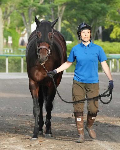 【日本ダービー】(12)カラマティアノス　外よりかはいい　陣営「あとは先生と池添さんが作戦を…」