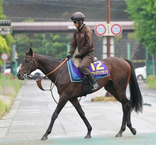 【日本ダービー】(16)ファイアンクランツ　前めにつけたら　堀師「リズムを崩さないレースをしてきた」