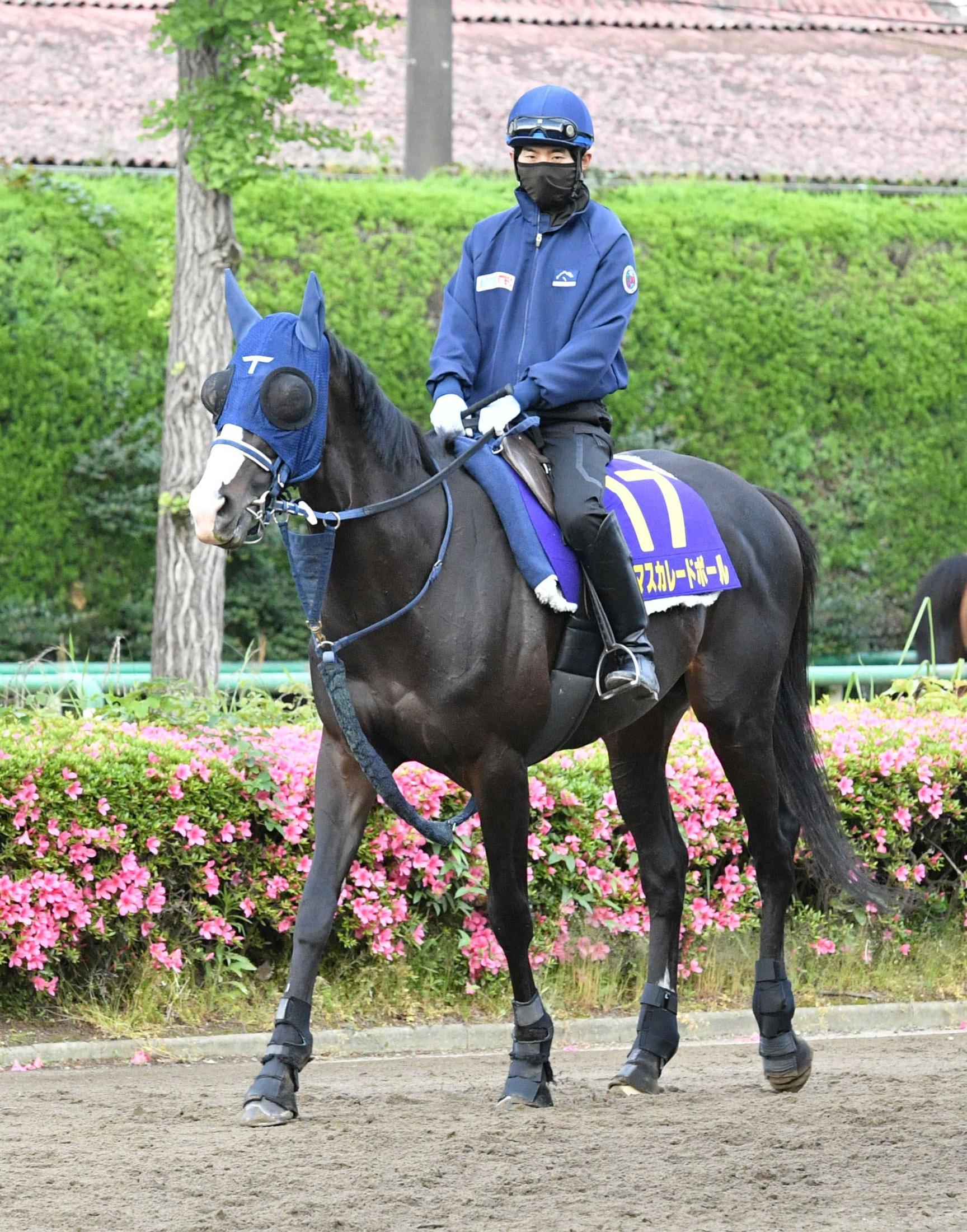 【日本ダービー】マスカレードボール　発動瞬発力　外めの奇数枠に岡田助手「１角までの入りが重要」