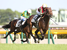 日本ダービー2015に出走したドゥラメンテ(撮影：下野雄規)