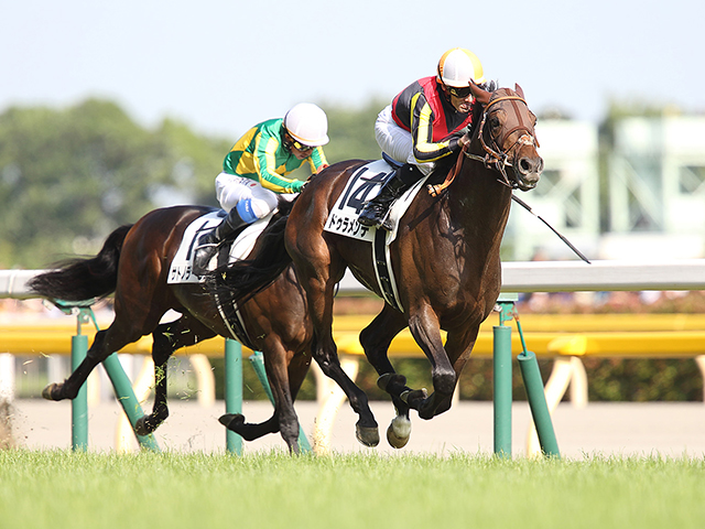 サンデーレーシングが5頭出し 日本ダービー衝撃のレコード勝利から10年