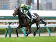 葵Sに出走予定のポッドベイダー(撮影：山中博喜)