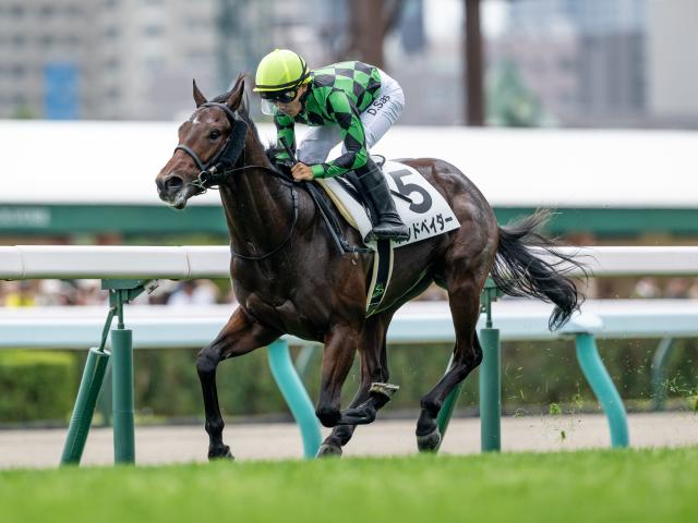 【葵S予想】日本ダービー前日に行われる3歳短距離戦 未来のスプリント王を目指す快足馬集結