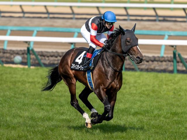 【目黒記念予想】ダービーの後には伝統の一戦 波乱含みのハンデ重賞