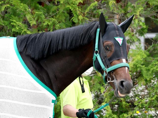 【日本ダービー】武豊騎手と初コンビのサトノシャイニングは4戦連続の8枠　杉山晴調教師「運命でしょうね」