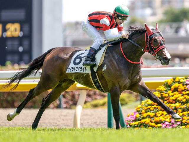 【葵S予想】フレッシュさを失っていないことが重要!? 無傷の三連勝を狙う逸材に立ちはだかる壁とは