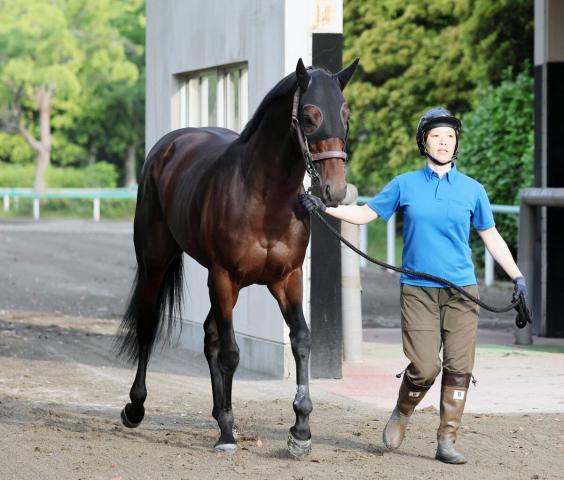 【日本ダービー】カラマティアノスは逆襲へ態勢着々　陣営「皐月賞よりもしっかり」