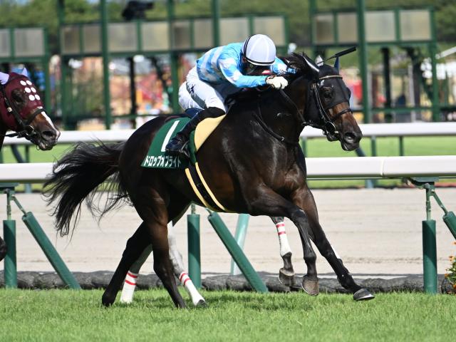 【有力馬動向】ドロップオブライトは適距離の北九州記念で巻き返し/馬三郎のつぶやき