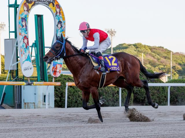 【佐賀競馬】三冠路線歩む大物か、新興勢力の大金星か 群雄割拠の佐賀3歳頂上決戦